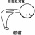 听说是猫